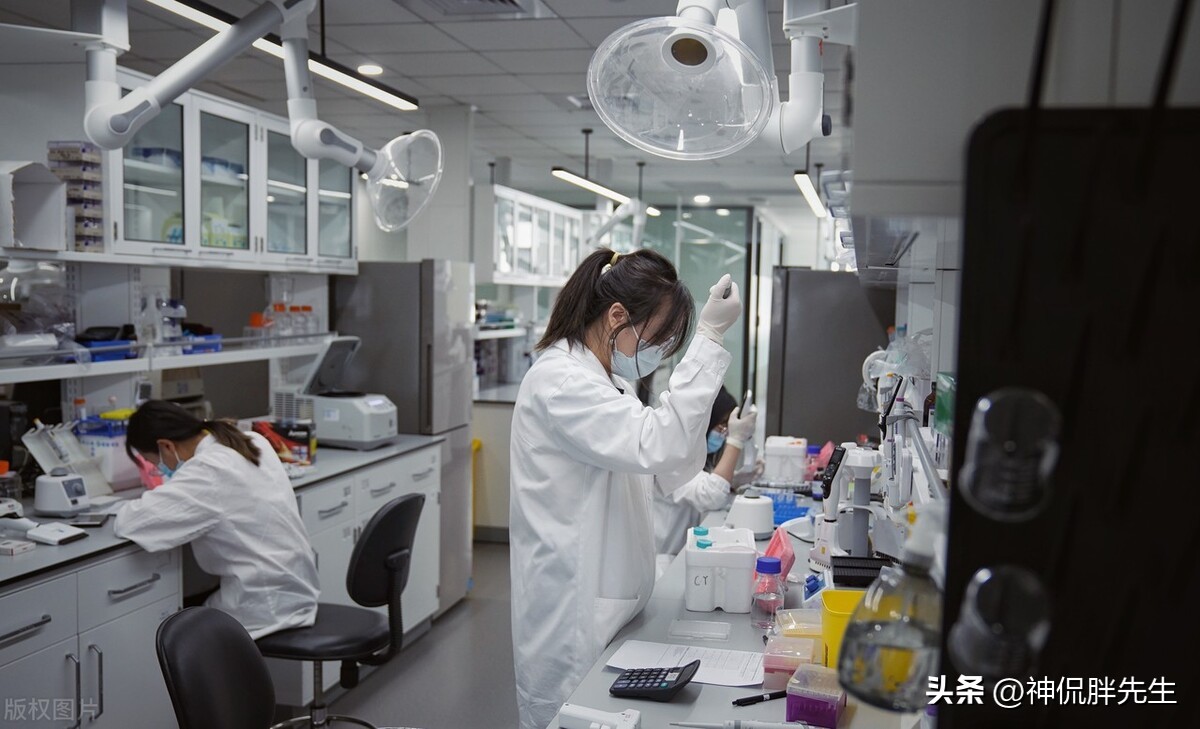 职场遇到喜欢抢你功劳的领导,职场中遇到恶心的领导抢功劳