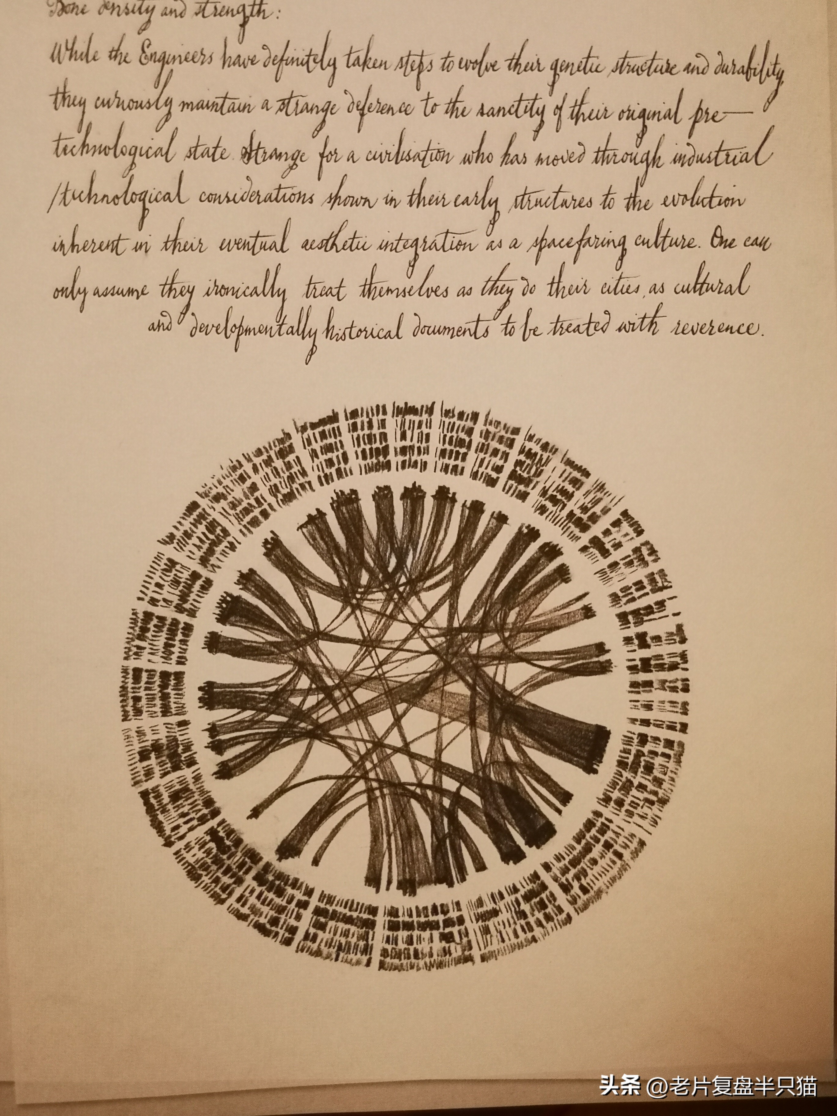 仿生人大卫的秘密,仿生机器人大卫