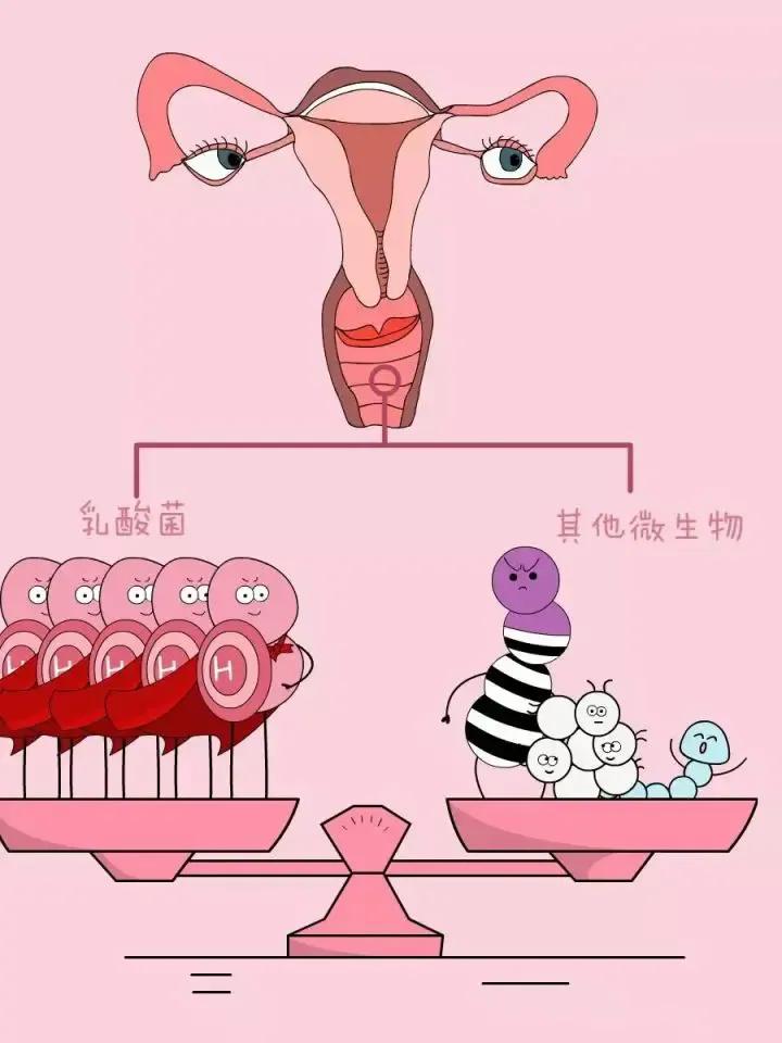 阴道炎的症状自己怎么判断,阴道炎六大症状解决方案