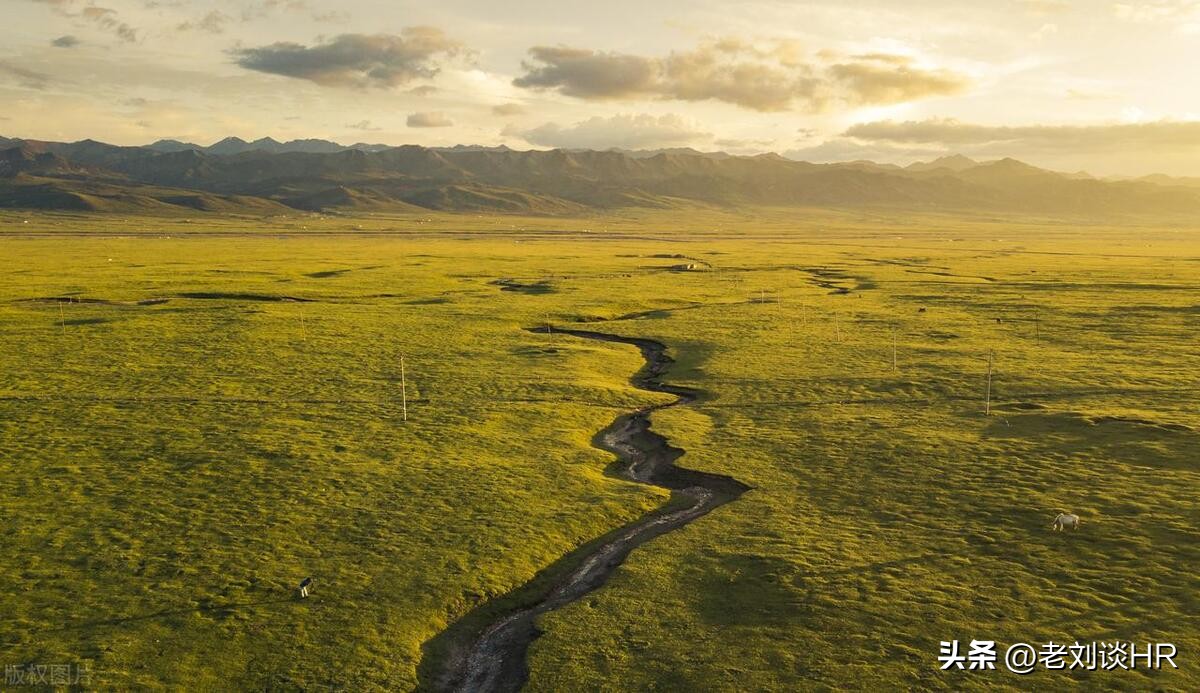 文章分享是怎么赚钱的,自用省钱分享赚钱文案