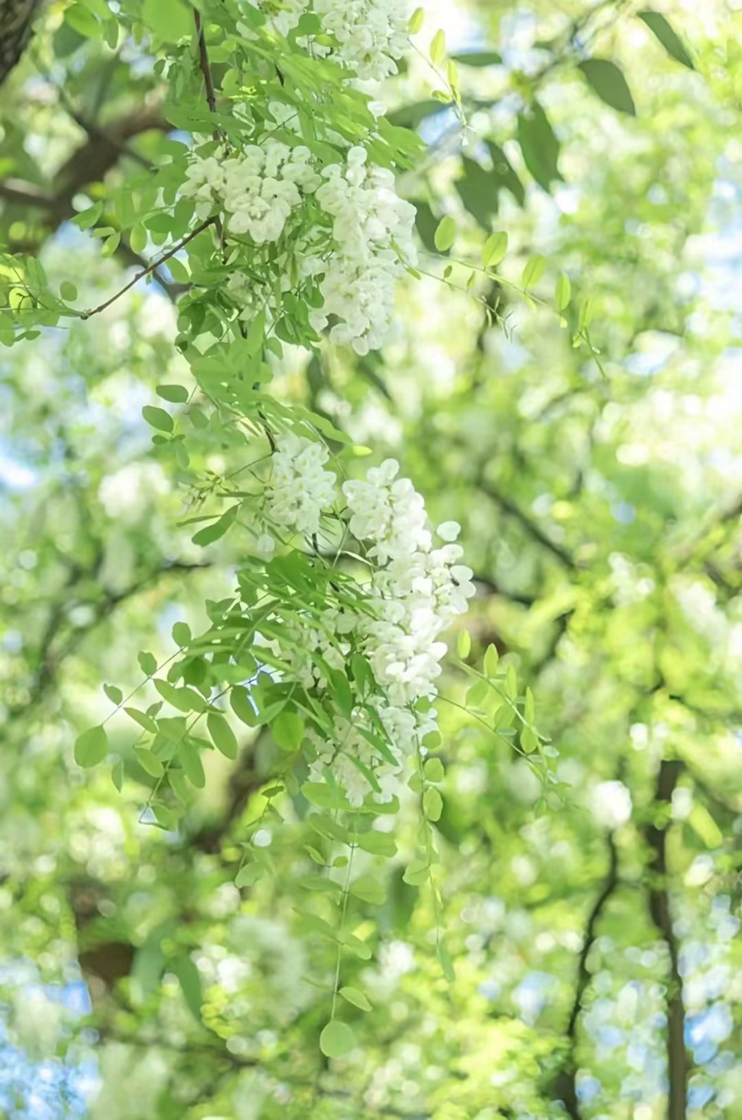 品过人生百味方知人情冷暖,余生不慌不忙不急不躁不悲不喜