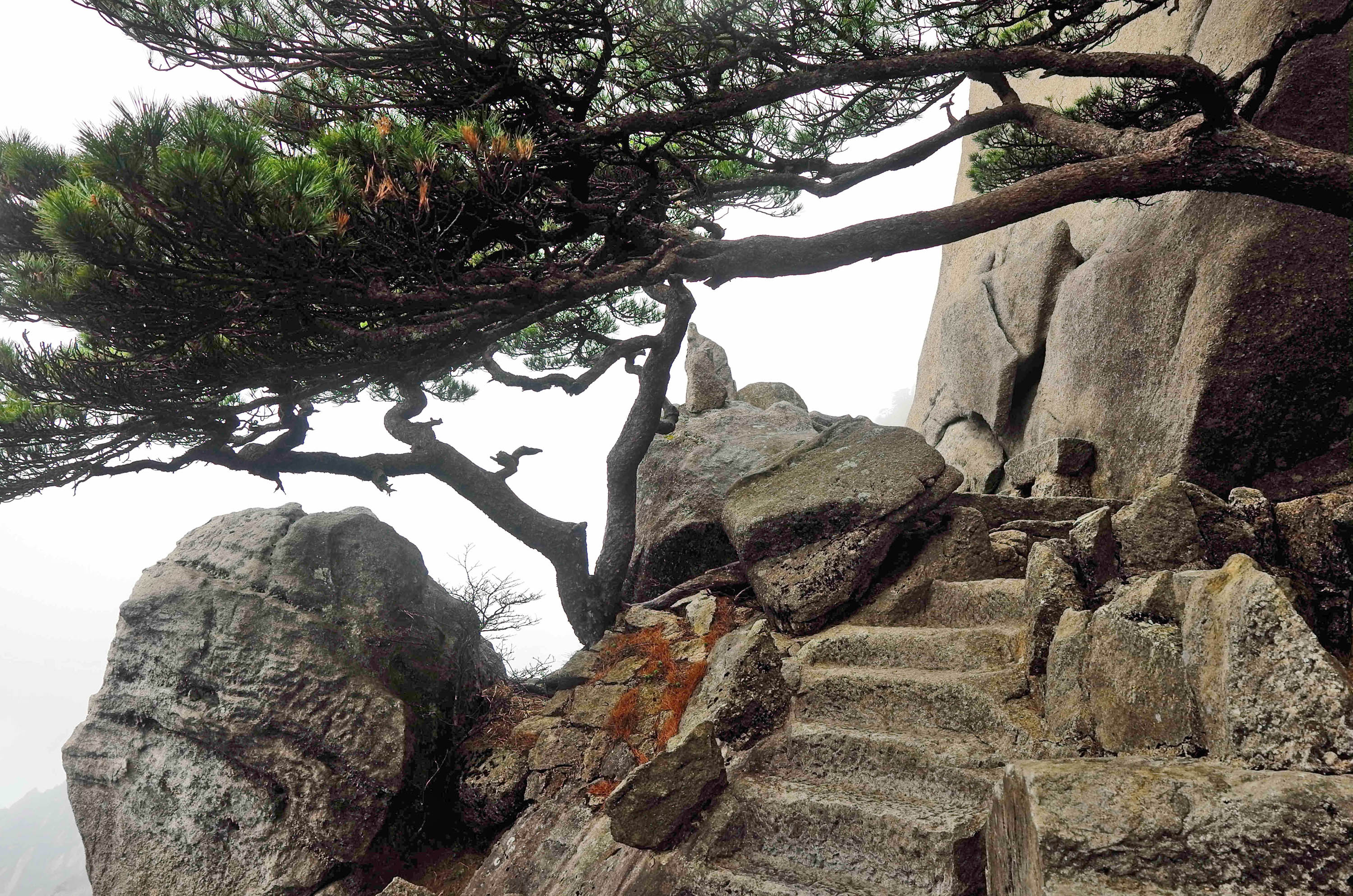 黄山慈光阁到玉屏楼步行多久,爬黄山从慈光阁开始的攻略