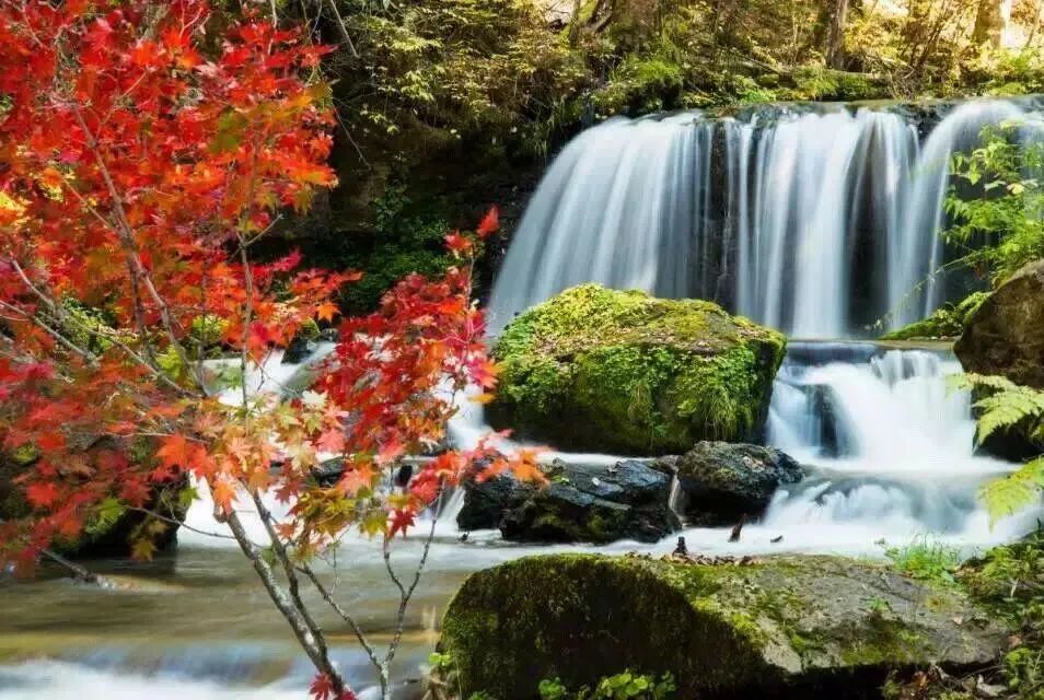 夏季延边旅游最佳路线推荐,延边最新活动消息