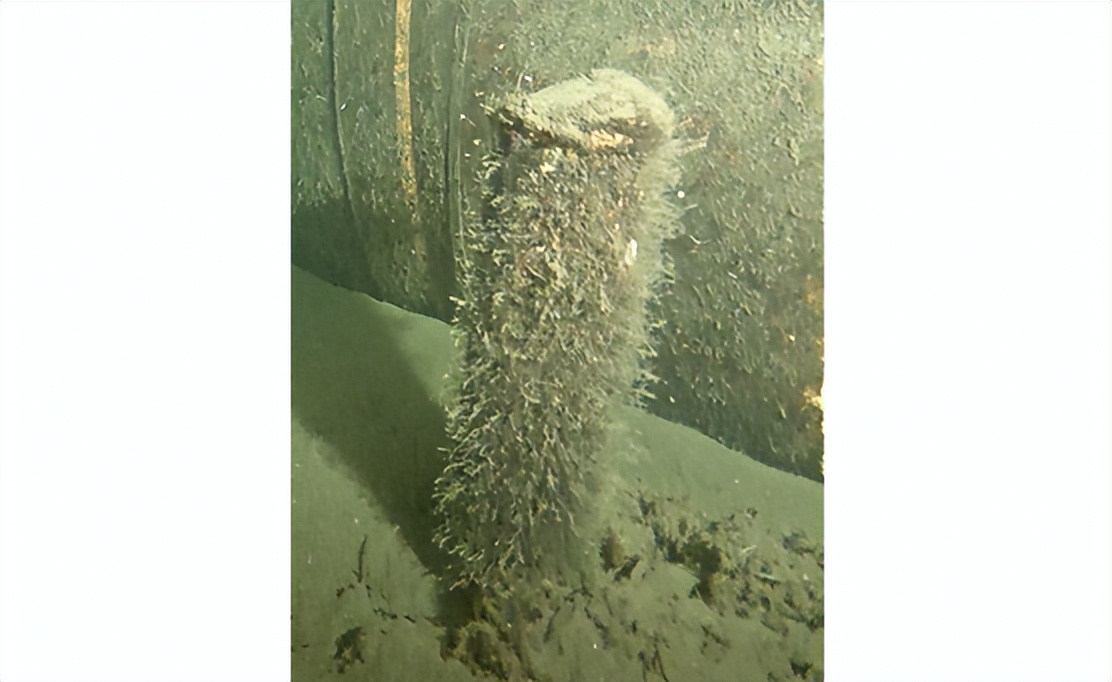 揭露爆炸案隐秘真相,丹麦警方证实北溪事故由爆炸引发