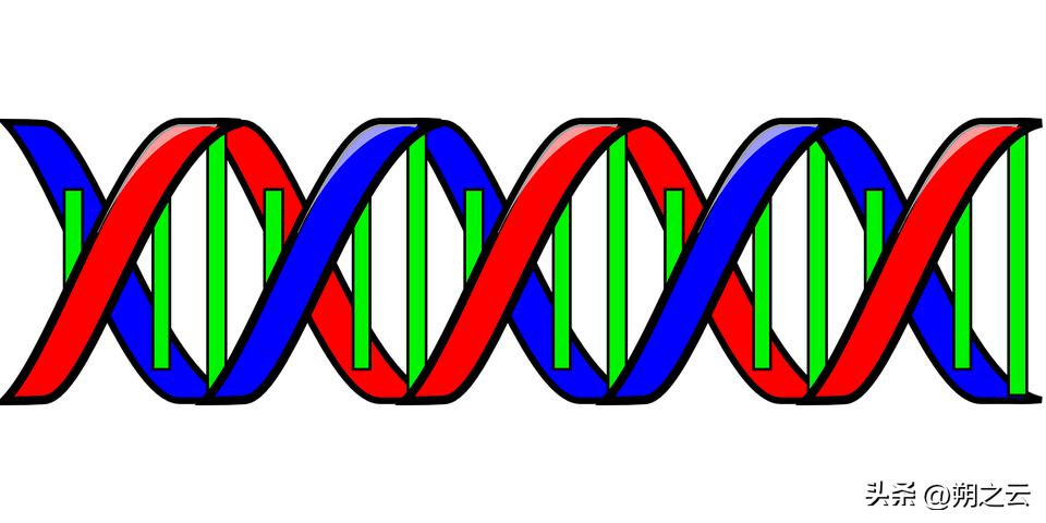 九大科目如何学好,九大学习科目