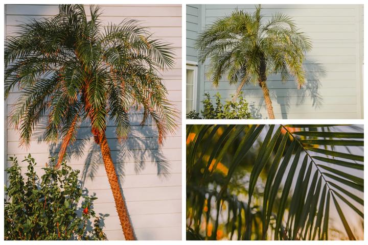 怎么样拼图没有痕迹,拼图画质超清怎么调整