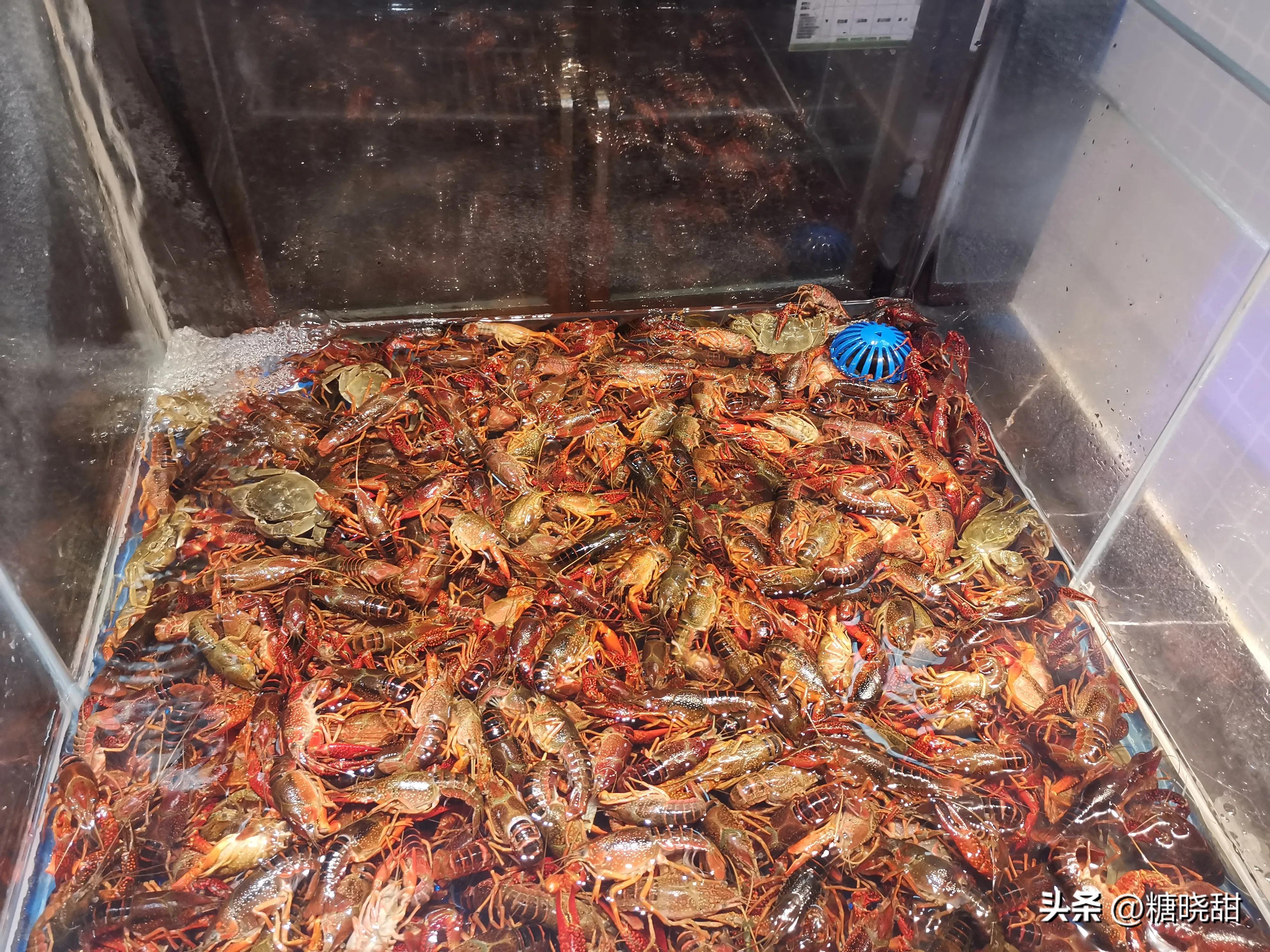 美食探店看着蒜蓉虾流口水,海鲜鲍鱼小龙虾螃蟹