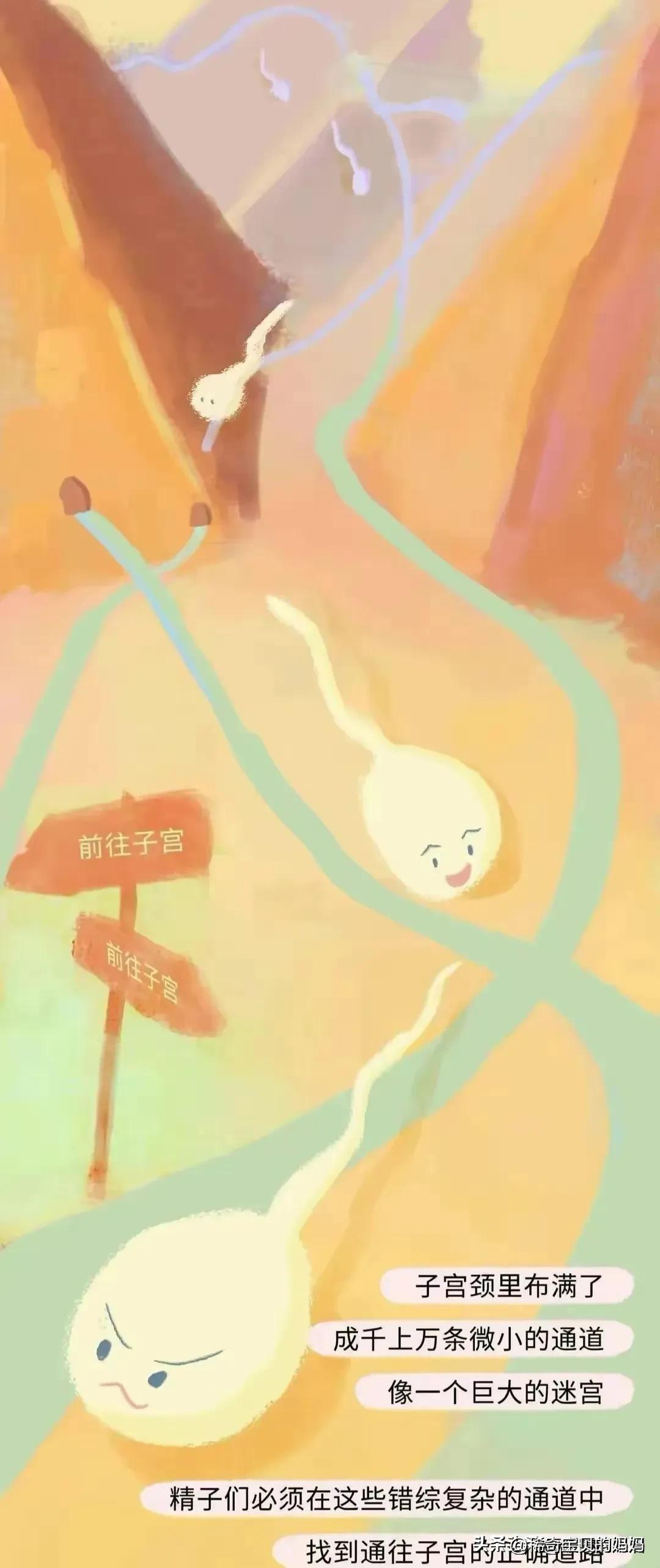 小蝌蚪漫画,科普知识小蝌蚪怎么成长为青蛙