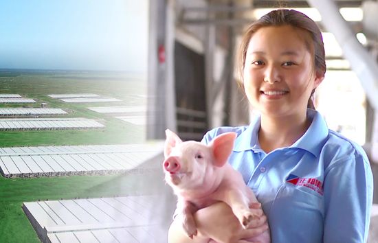 昔日“养猪大王”，深陷信托暴雷和骗贷风波