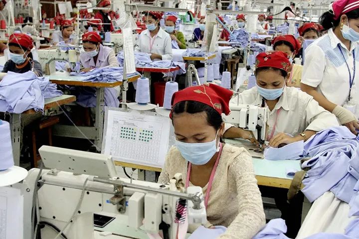 2021鸭苗行情走势预测,鸭苗行情走势分析图