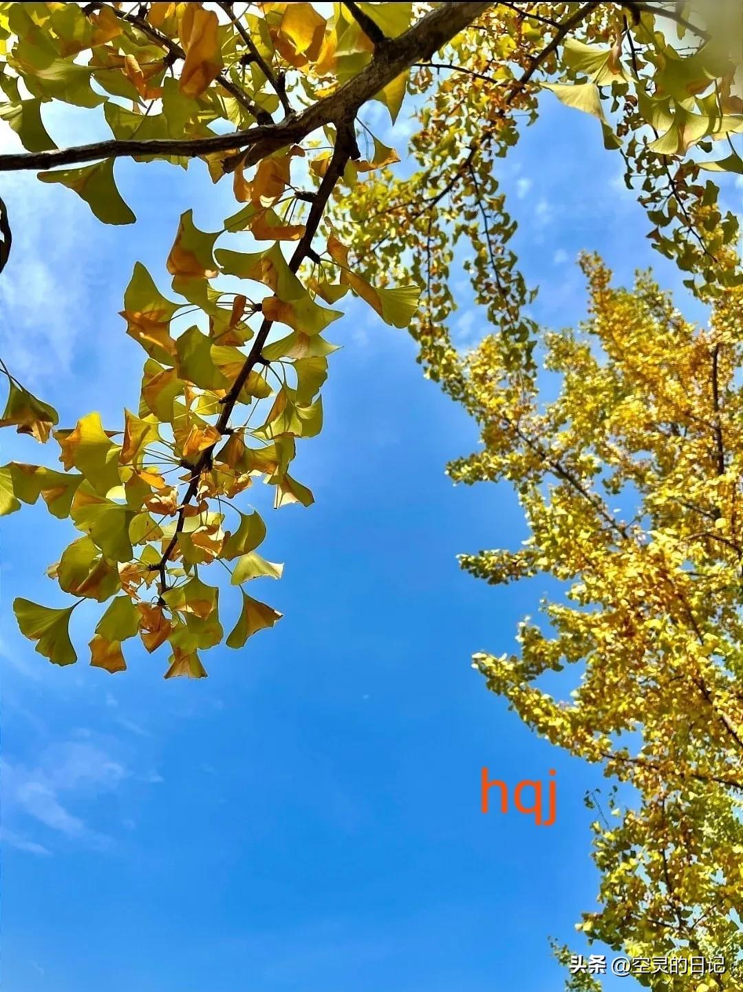 濡備綍鎵嶈兘鐪嬭浣犵殑瀹归,鎬庝箞鐪嬩綘鏄惁婕備寒