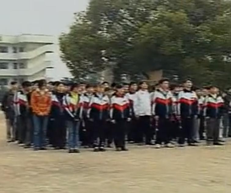 新龙会成员名单,新龙会成员现在怎么样了