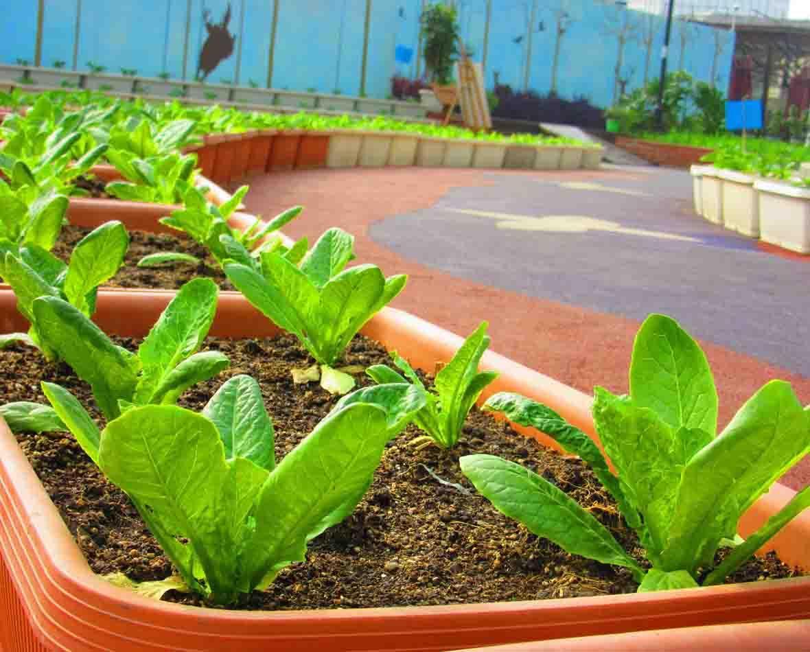 广州70层的楼,广州70层空中农场地址在哪里