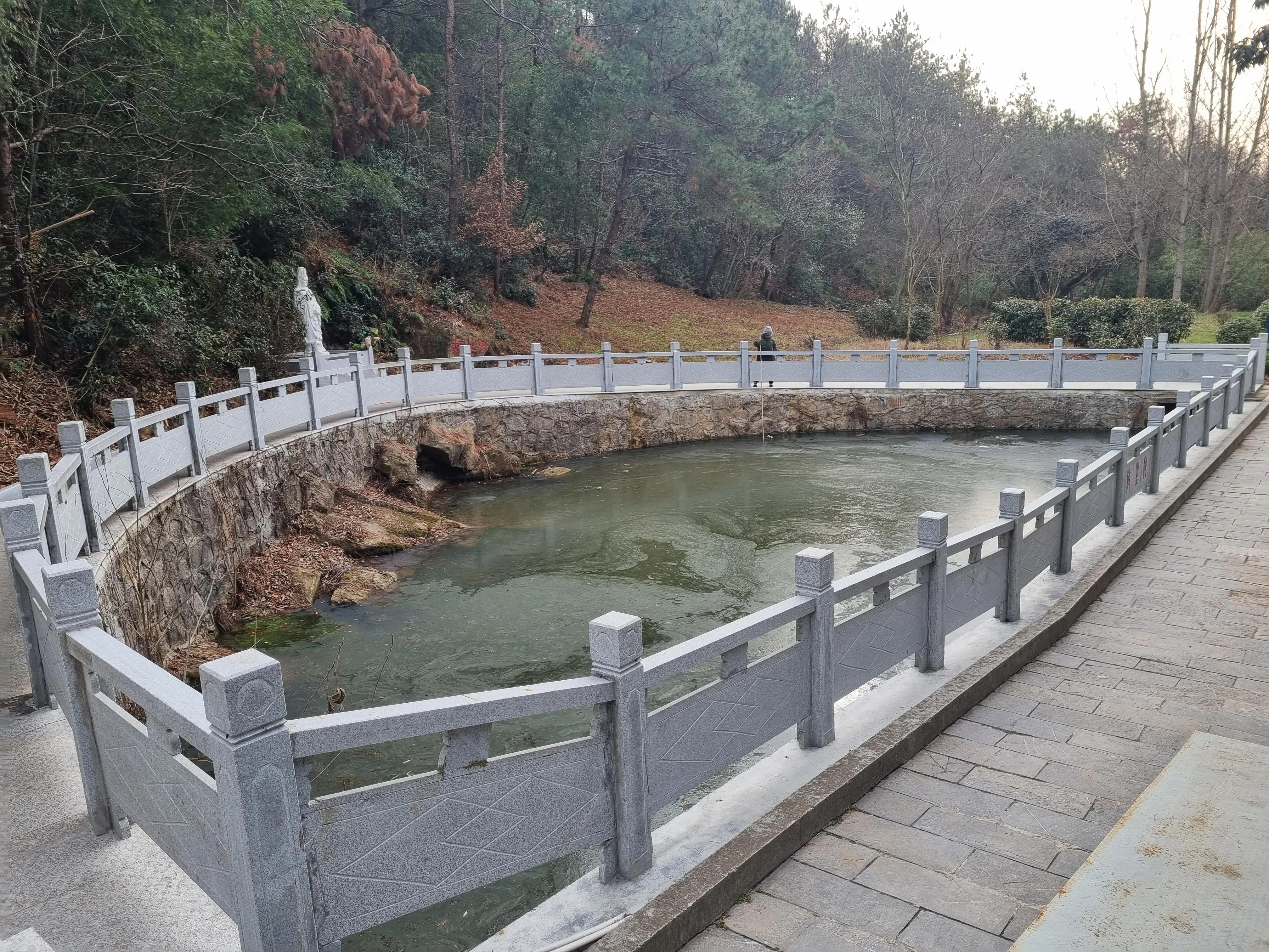 南京龙泉寺。寺里有一棵唐朝的腊梅树。