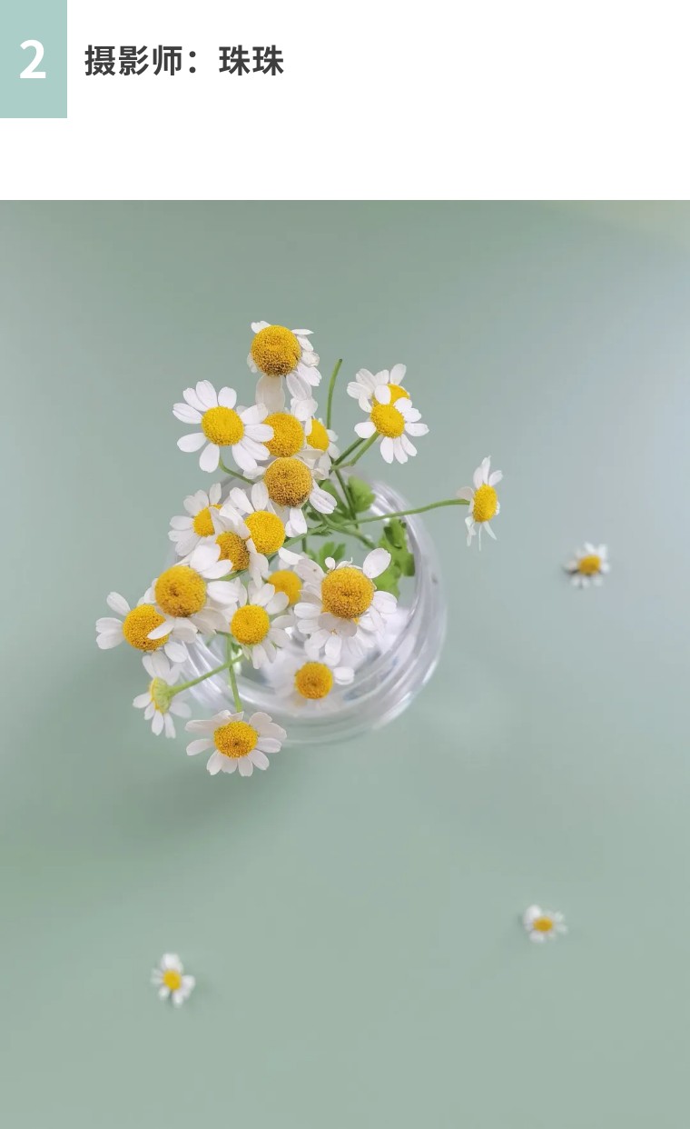 秋天怎么拍出好看的照片,秋天怎么拍出最好的照片