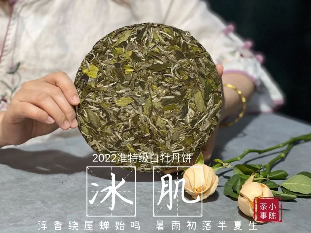 白茶闻着啥味,白茶好闻不