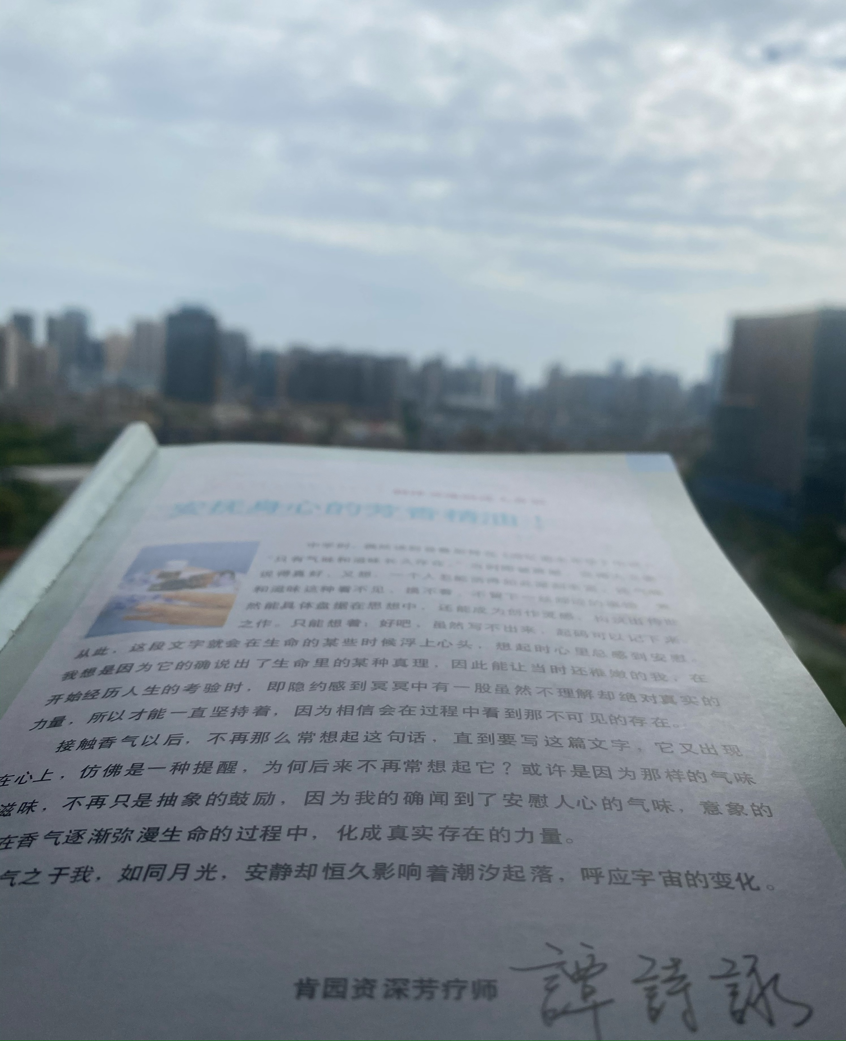 光芒｜精油芳疗之路陷入迷途肯园成为开启香气魔法世界的钥匙