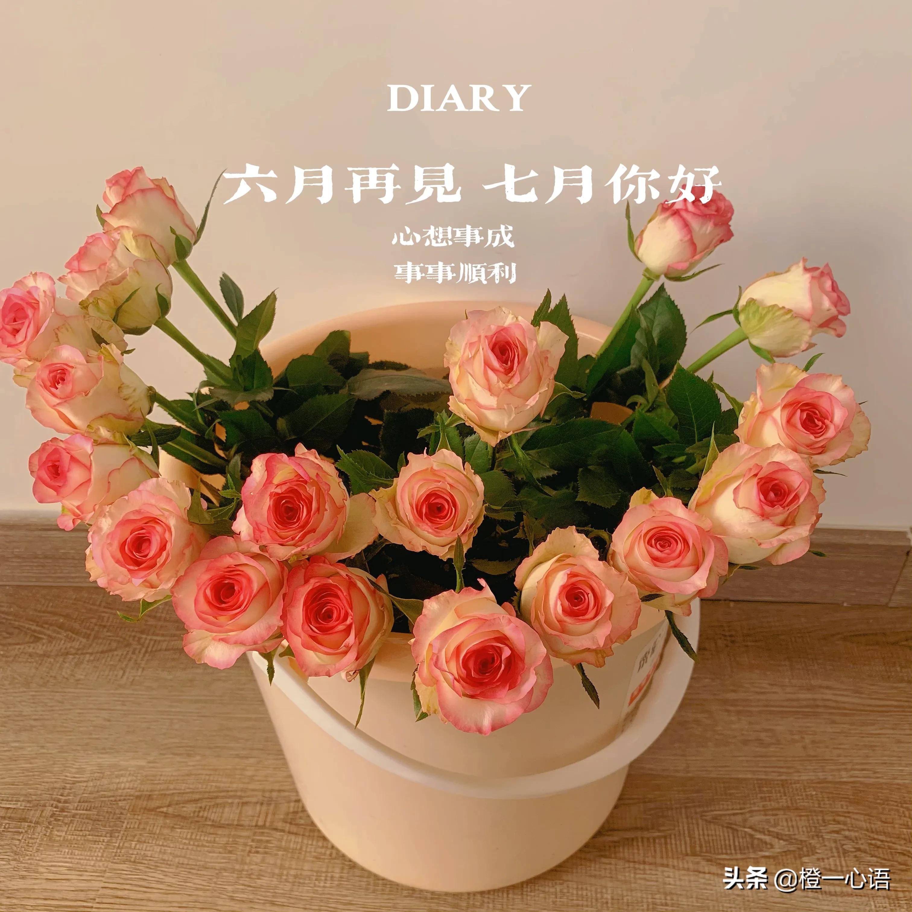 基金收益是净值还是估值,基金净值高低对收益影响