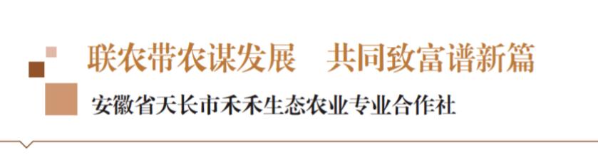 农业合作社促农增收,循环农业联农带农共致富