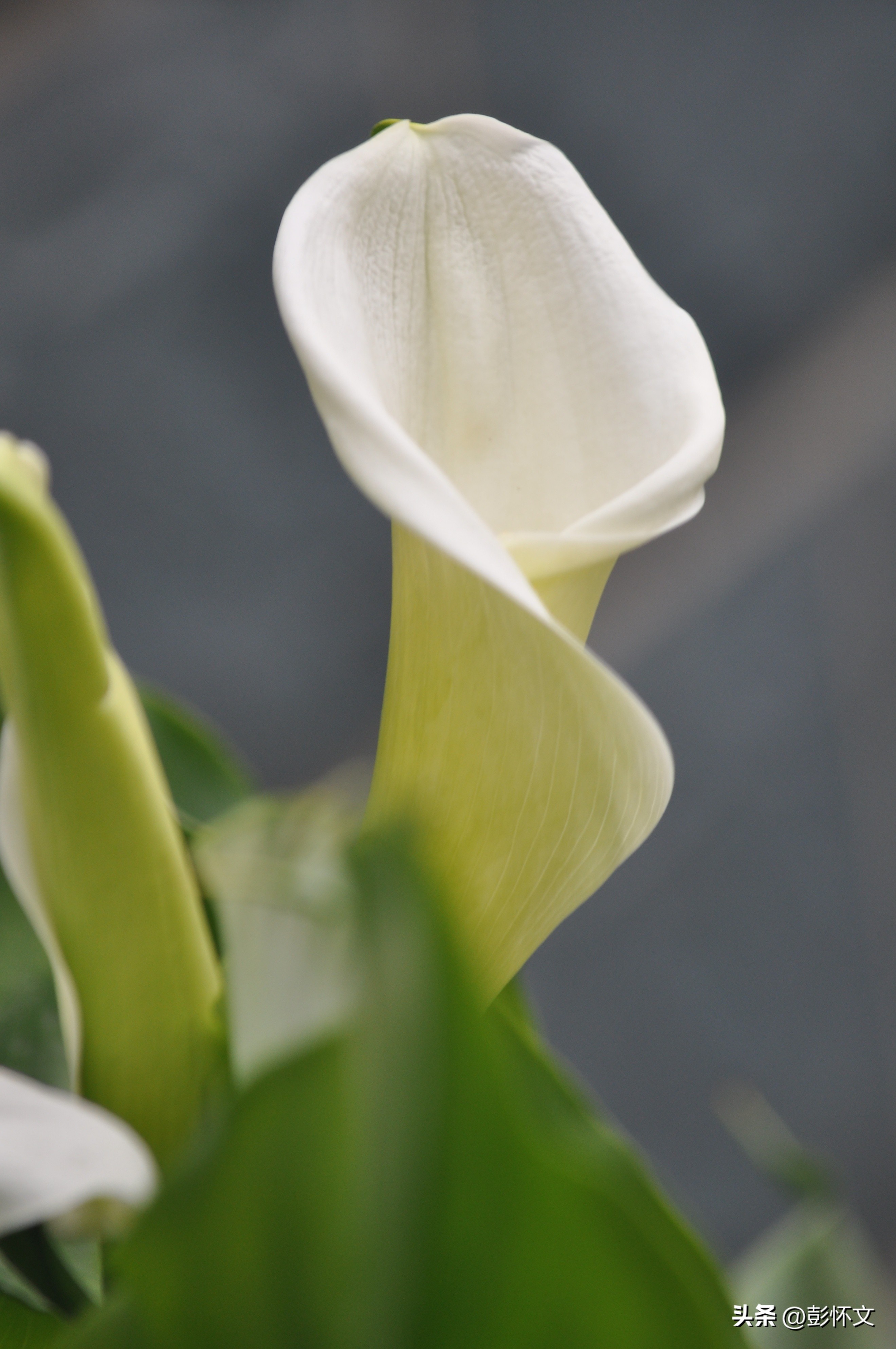 临时工日结没发票账务处理,公司付给临时工工资怎么做账