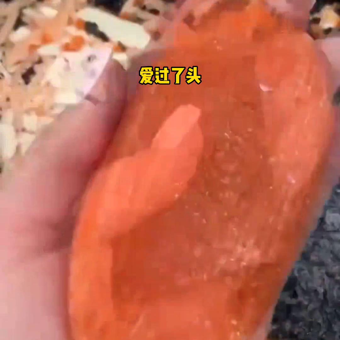 小说狐仙,小说排行榜前十名