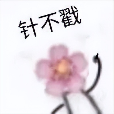 支持台前调度ipad有哪些,ipad台前调度有多牛