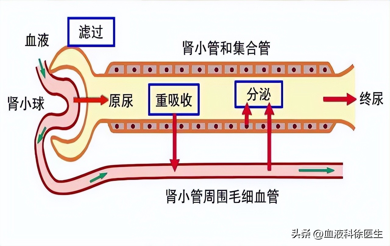 阿利沙坦酯片降压效果怎样,降压药阿利沙坦酯片的副作用