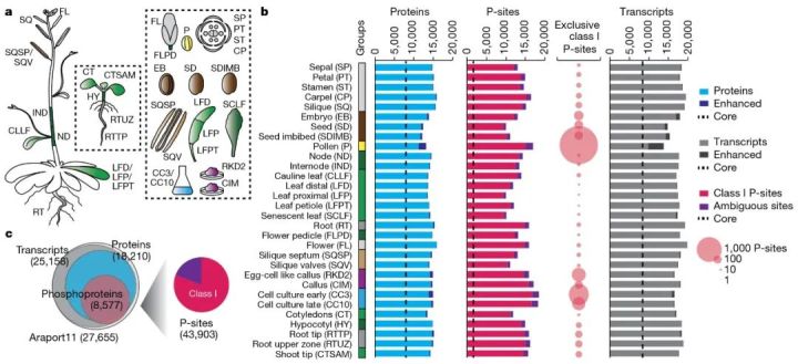 一文看懂质谱,科普质谱
