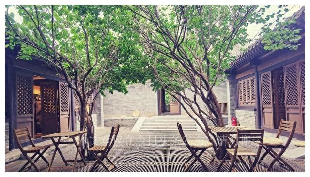 男人娶两个老婆回家，相处模式再次刷新我的三观