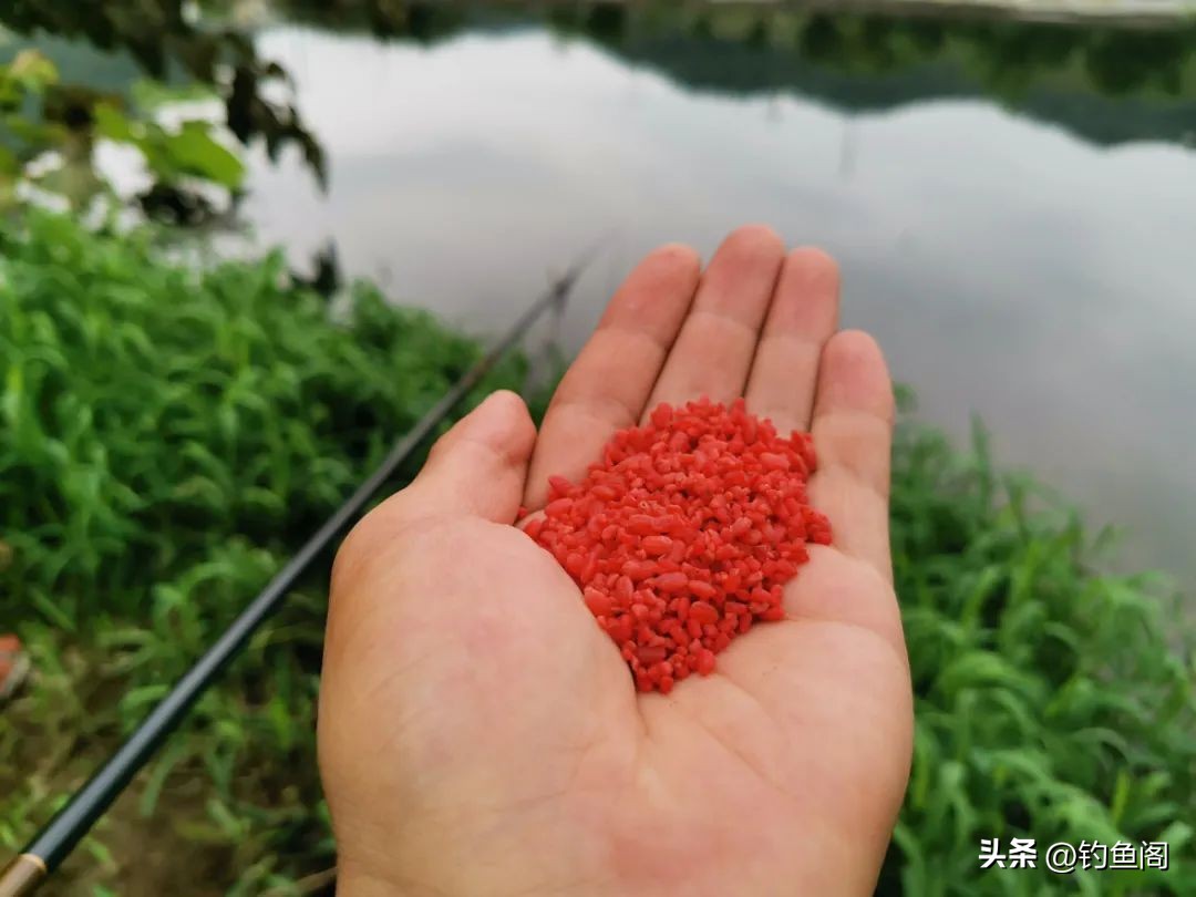 钓鱼小技巧谁将赢得1v1的钓鱼挑战,5种钓鱼方法