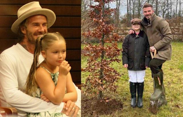 赛场上的好球员，大家庭的好父亲，可他却犯了一个男人都会犯的错