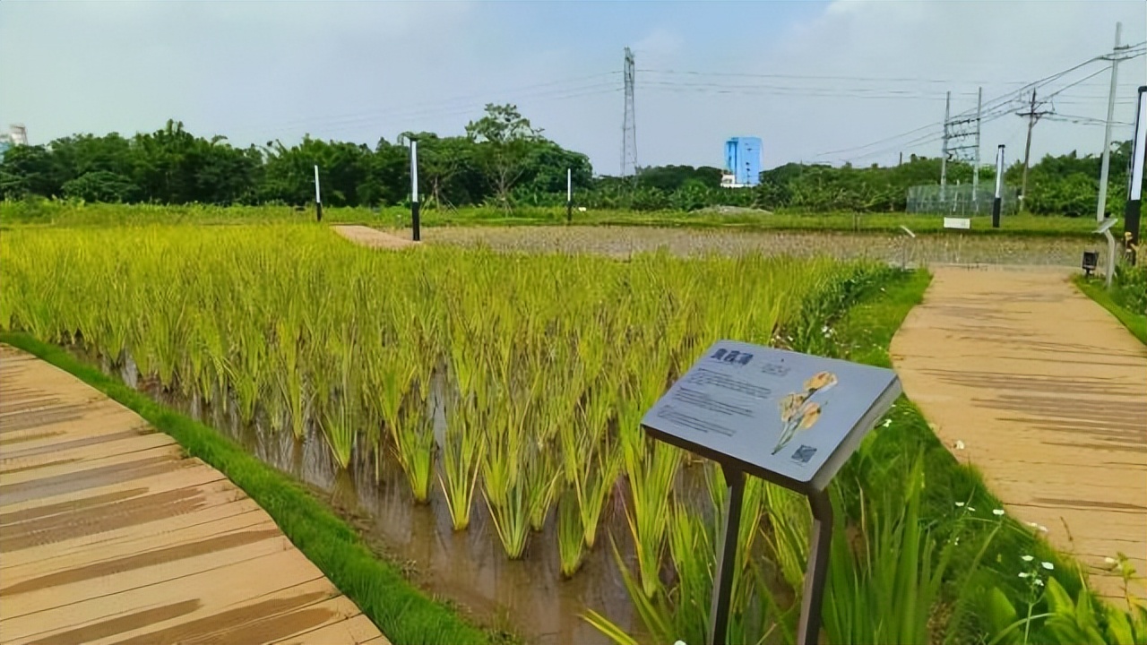 山美水美好风景区,山美水美风景美地方美