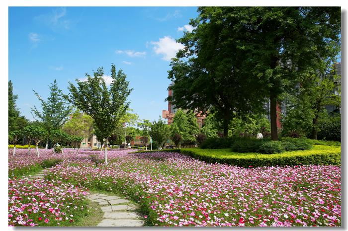 一起看校|成都中医药大学，它藏在天府之国