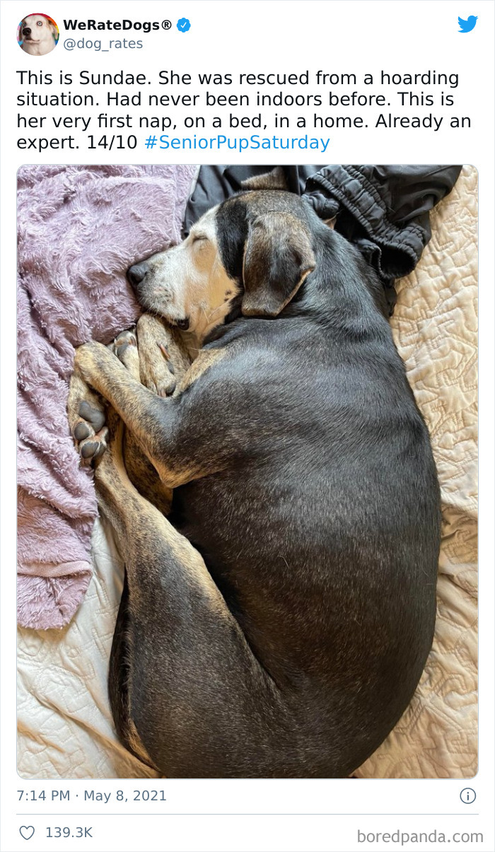 缇庡浗灏忓摜鐐硅瘎瑙嗛,缇庡浗灏忓摜鐐硅瘎