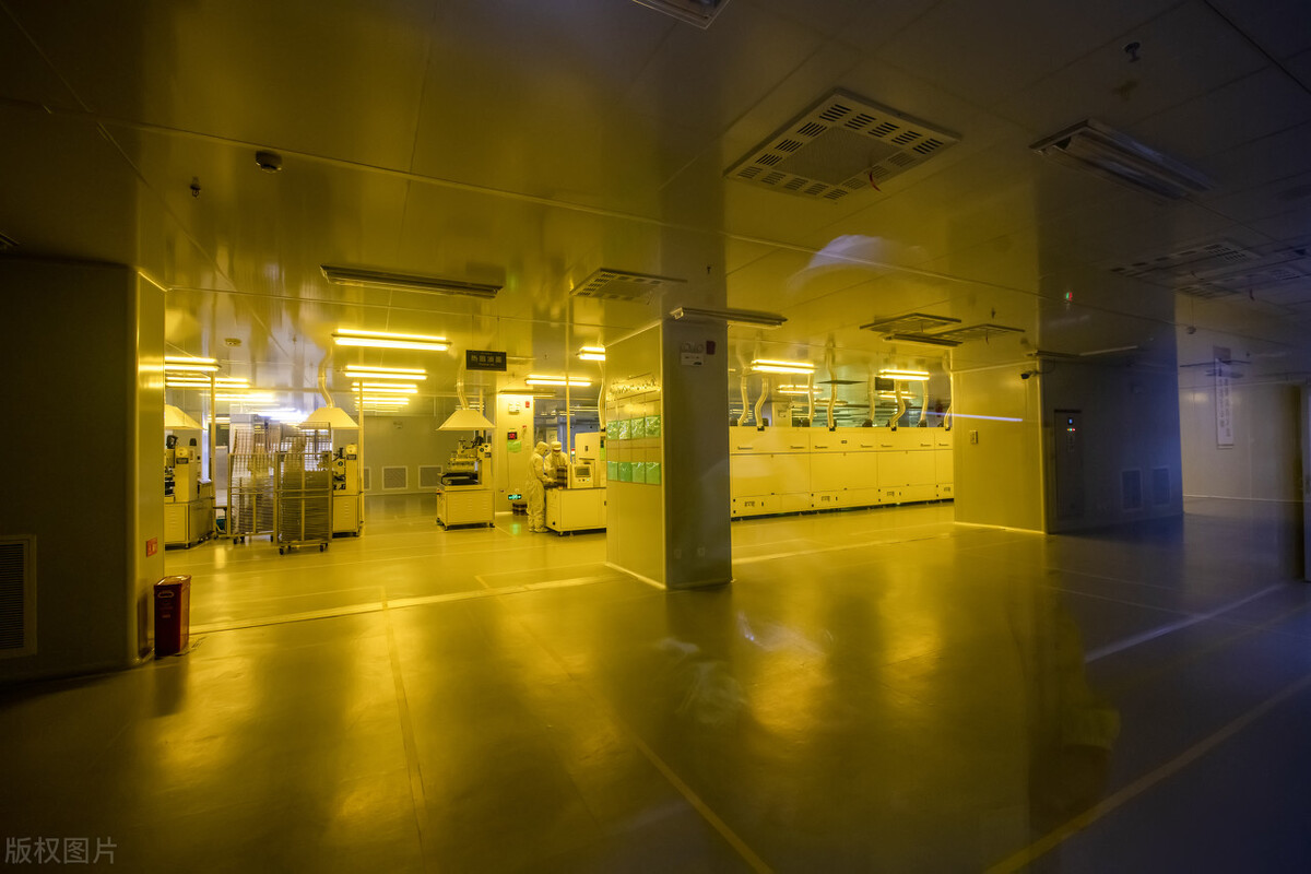 荷兰官方回应,荷兰政府回应美国