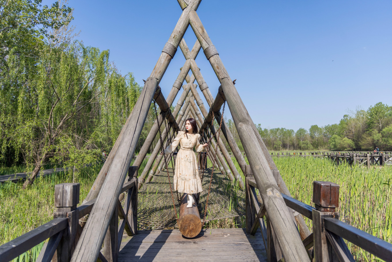 春日下江南杭州,泰州一日游攻略美食