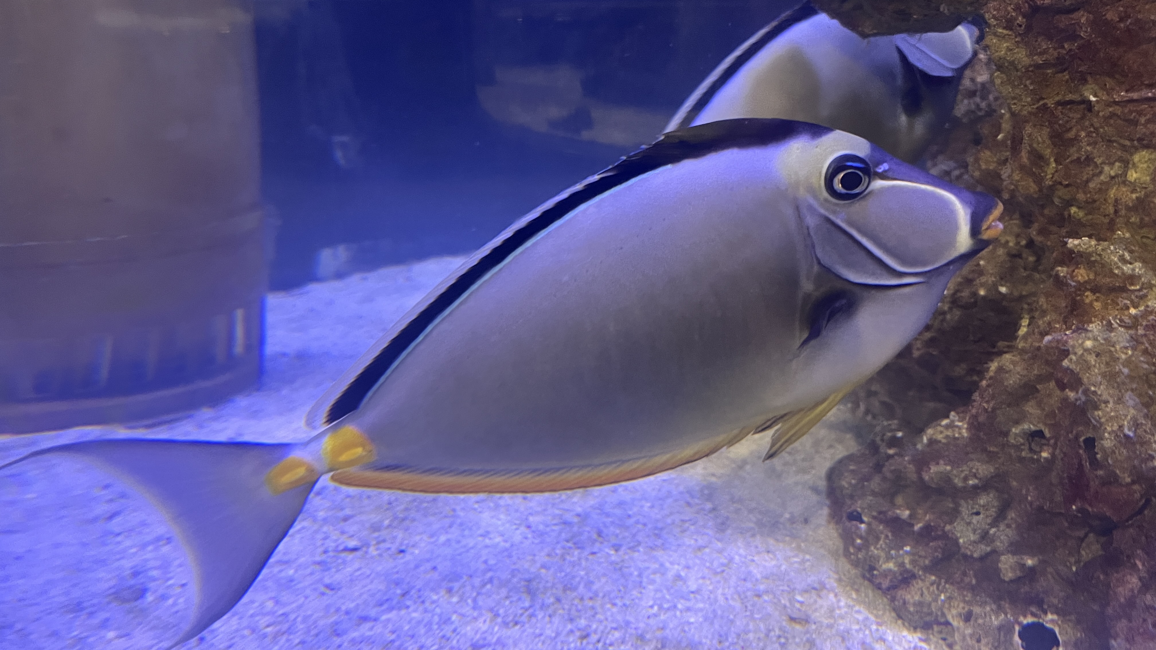 从北京到海南记录我的自驾之旅,北京到海南沿途自驾游攻略最新