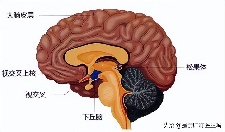 健康科普女生,科普女性健康体检
