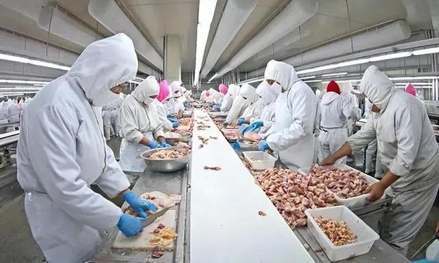 冻鸡腿是从哪里来的,市场上买冻鸡腿有没有营养