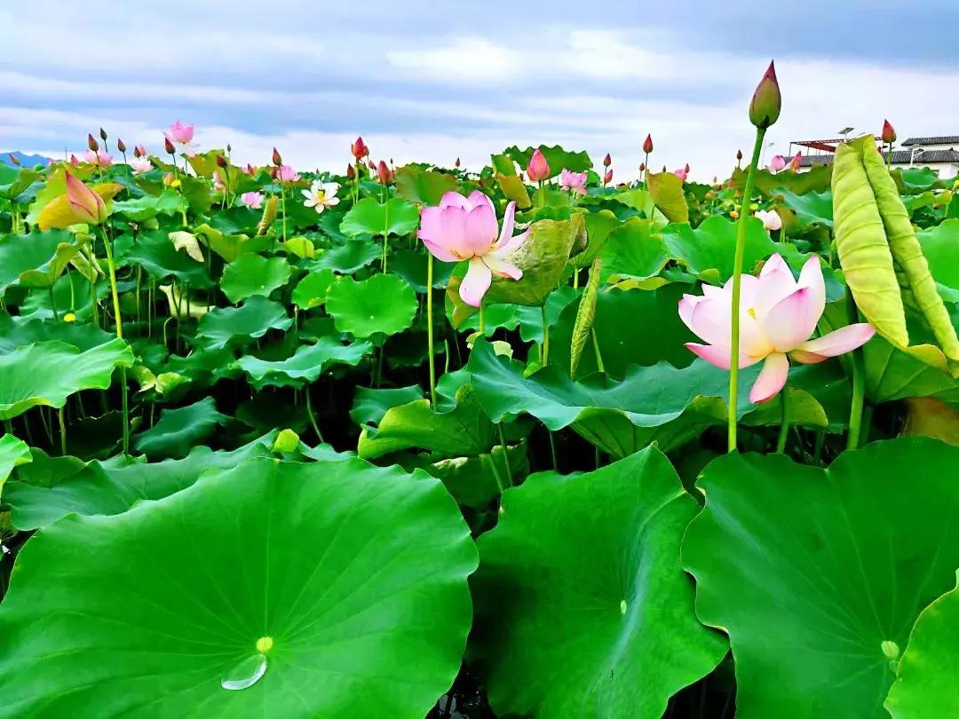 韶关翁源冷泉滩旅游攻略,去韶关丹霞山旅游攻略一日游