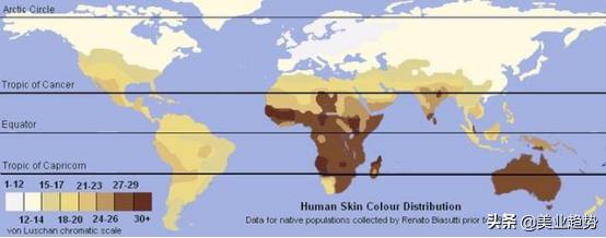 审美是美业人的必修课,做美业如何提高审美