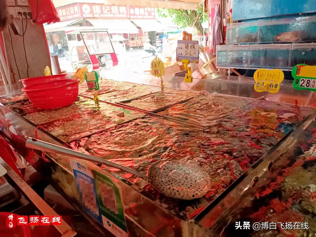 博白南城市场藏龙卧虎，摆摊卖肉小老板富甲流油