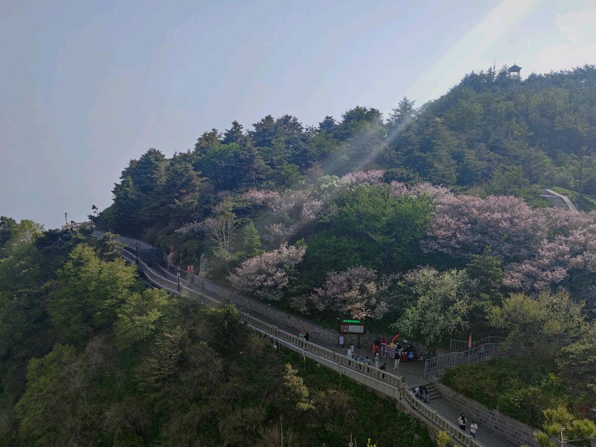 进淄赶烤一路飘香,进淄赶烤风雨无阻