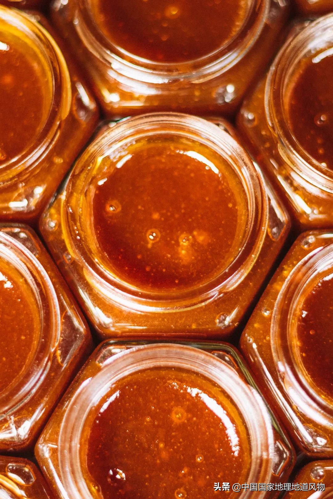 北方人认识枇杷吗,南方人有多爱嗦粉