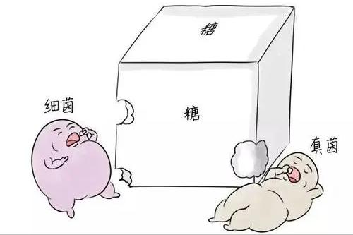 被隐藏50年的惊天骗局,隐藏了50年的骗局