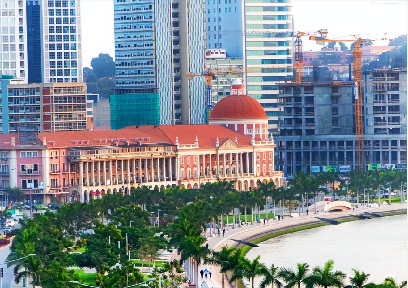 中国安哥拉蔬菜 (安哥拉的中国人种菜)