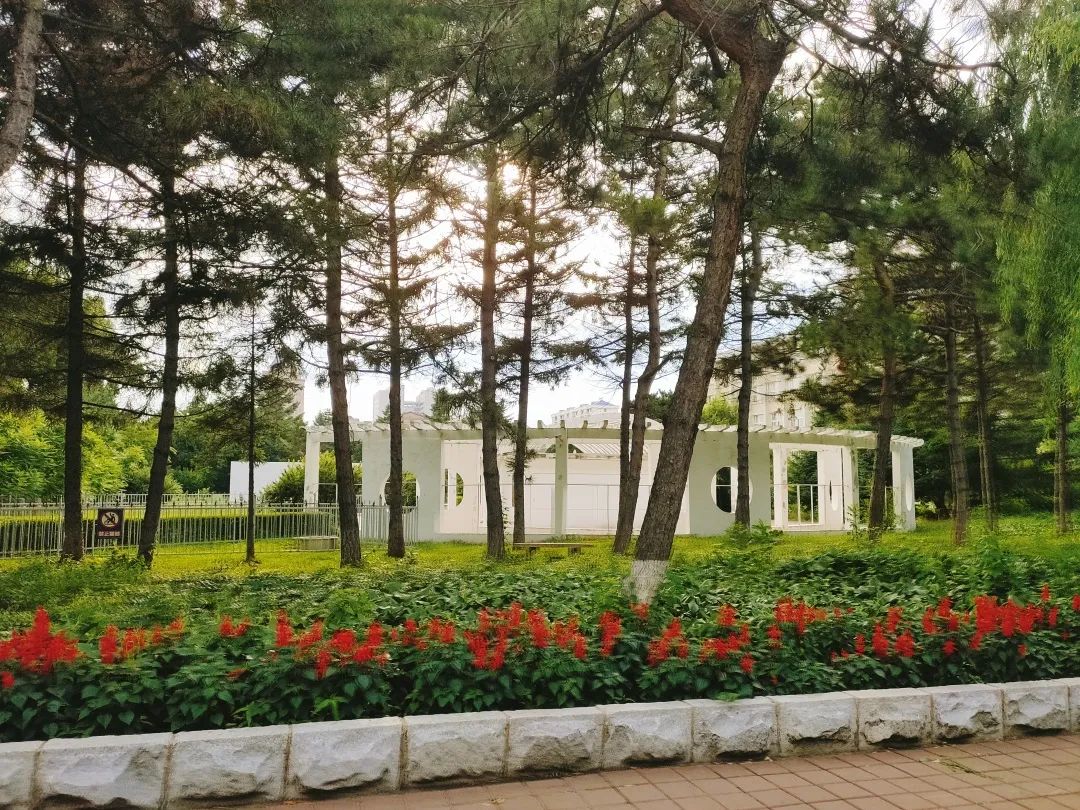 「新生指南丨史上最全宿舍介绍」吉林大学新生快来认领你的宿舍