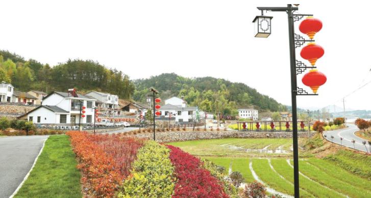 乡村产业如何旺起来？探寻团风县牛车河乡村振兴示范区产业兴旺之道