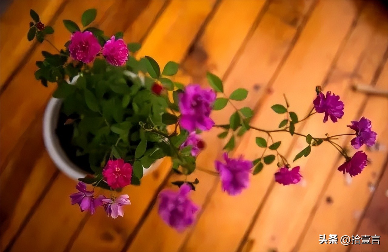 被人算计时应该做好哪些事,被人算计了要怎么防范才好