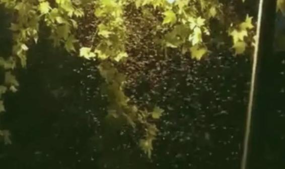 多地公安提醒短信,多地提醒